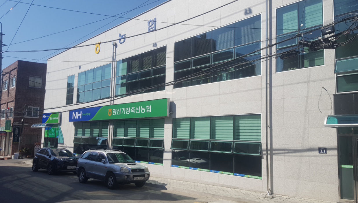 본점 (신용,경제,지도)